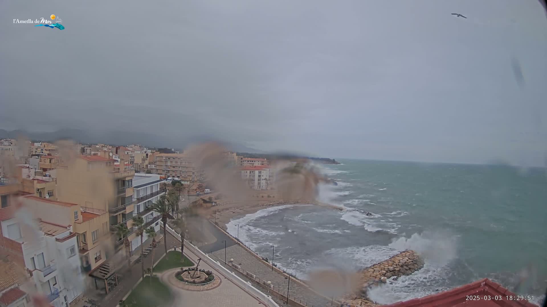 A rain-spattered view shows a coastal town with buildings and palm trees, overlooking a turbulent sea with large waves crashing against a seawall under a gray, overcast sky.