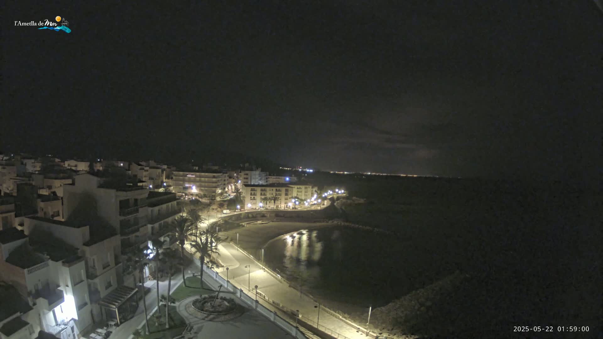 A nighttime view of a coastal town with a calm bay, illuminated buildings, and palm trees lining a paved walkway.