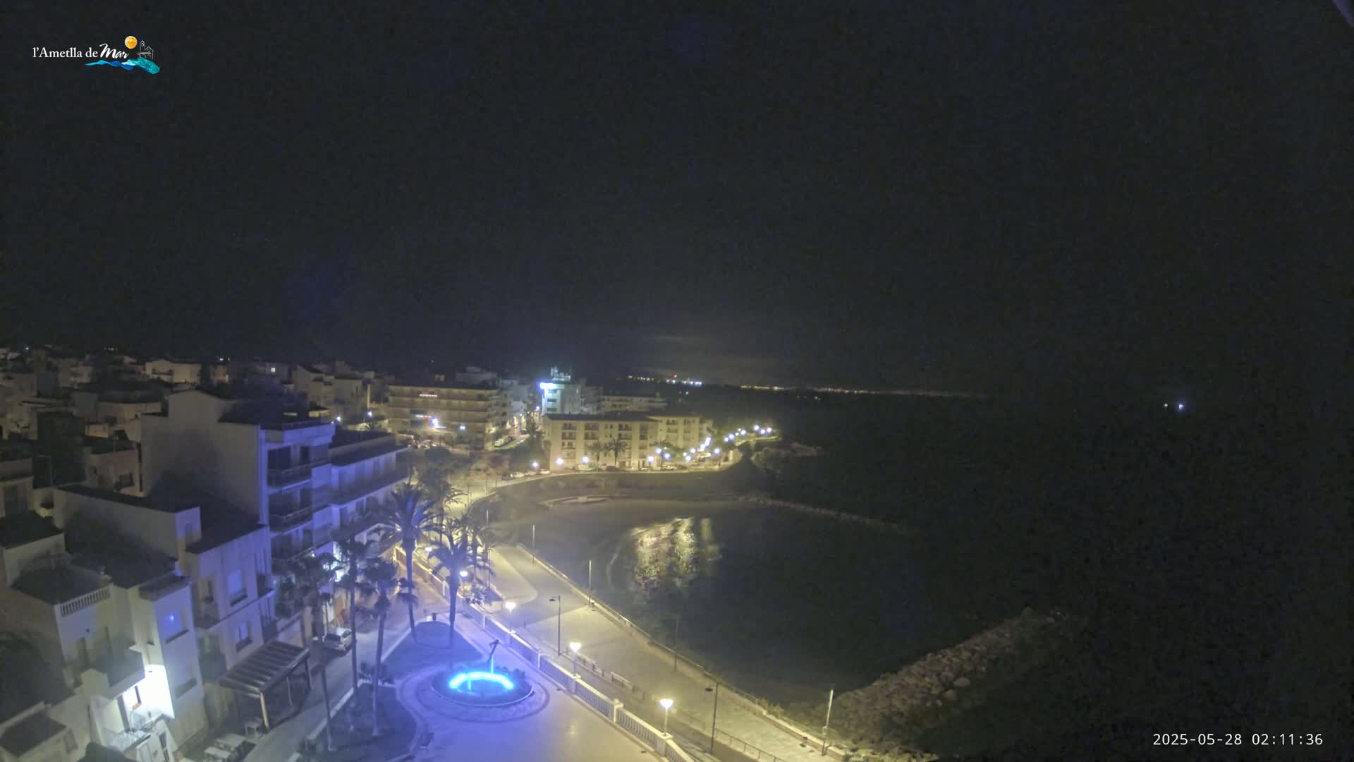 A nighttime view of a coastal town with calm waters, illuminated buildings, and palm trees lining a paved walkway.