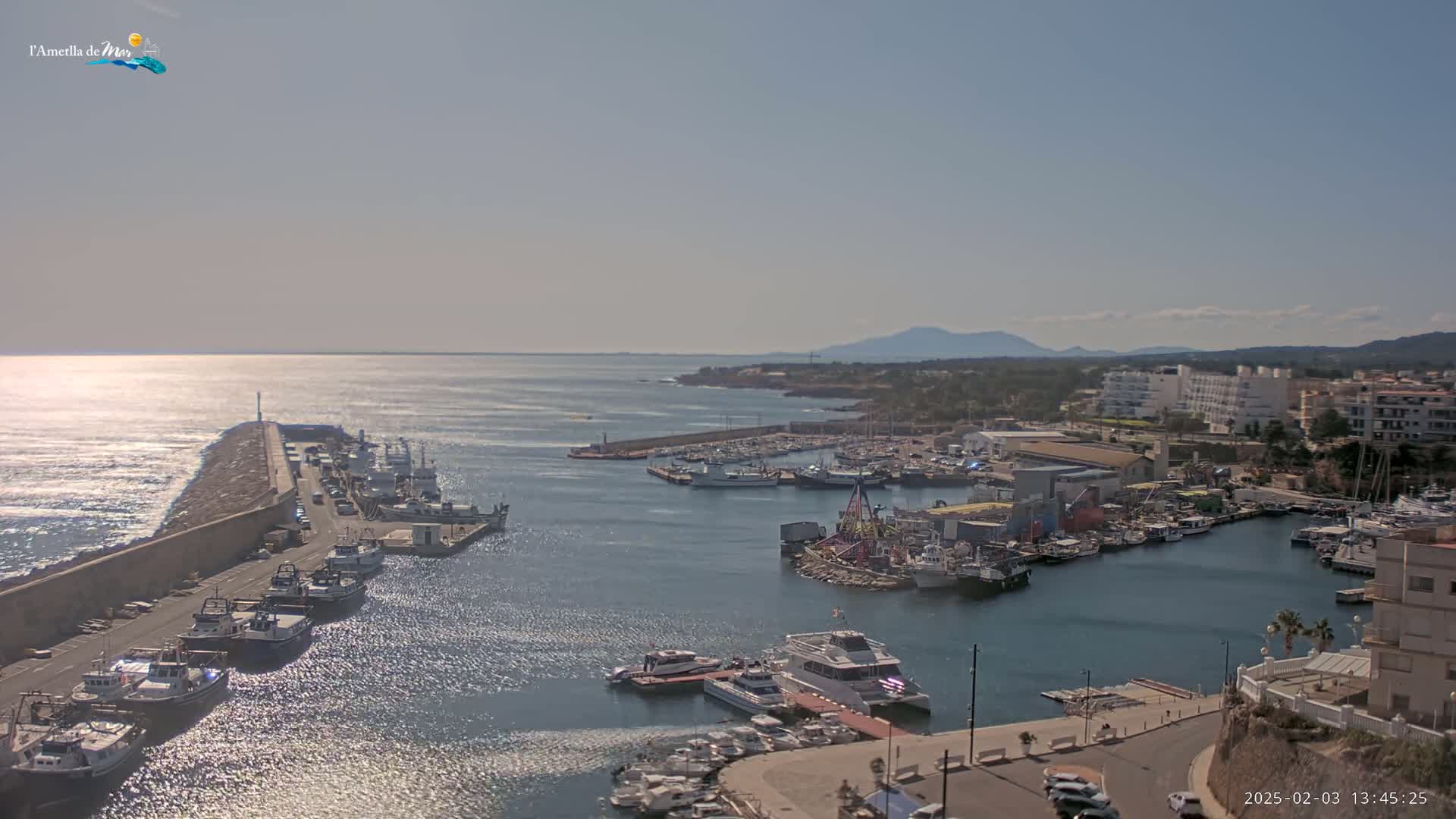 A harbor filled with numerous boats and ships is situated near a town under a clear, sunny sky.