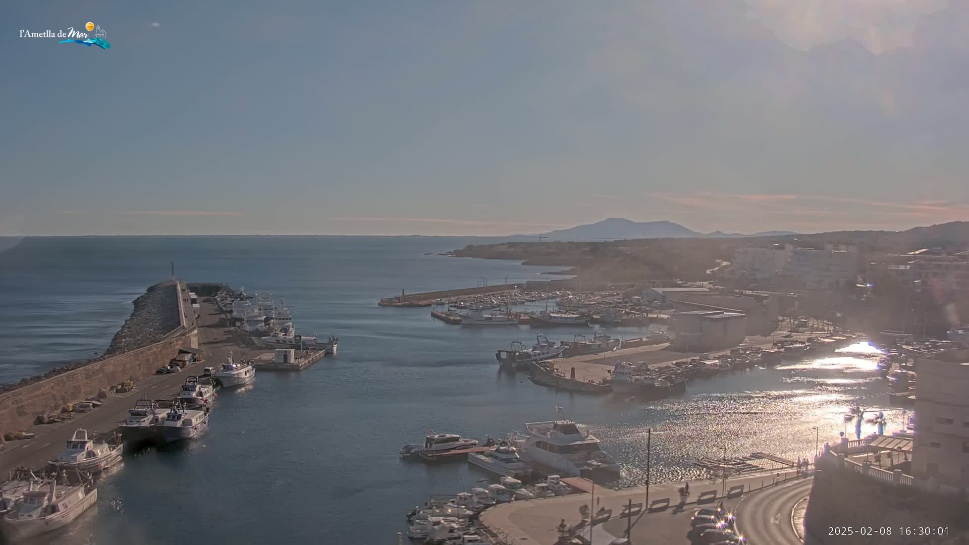 A harbor filled with numerous boats and ships is situated next to a town under a mostly clear sky.