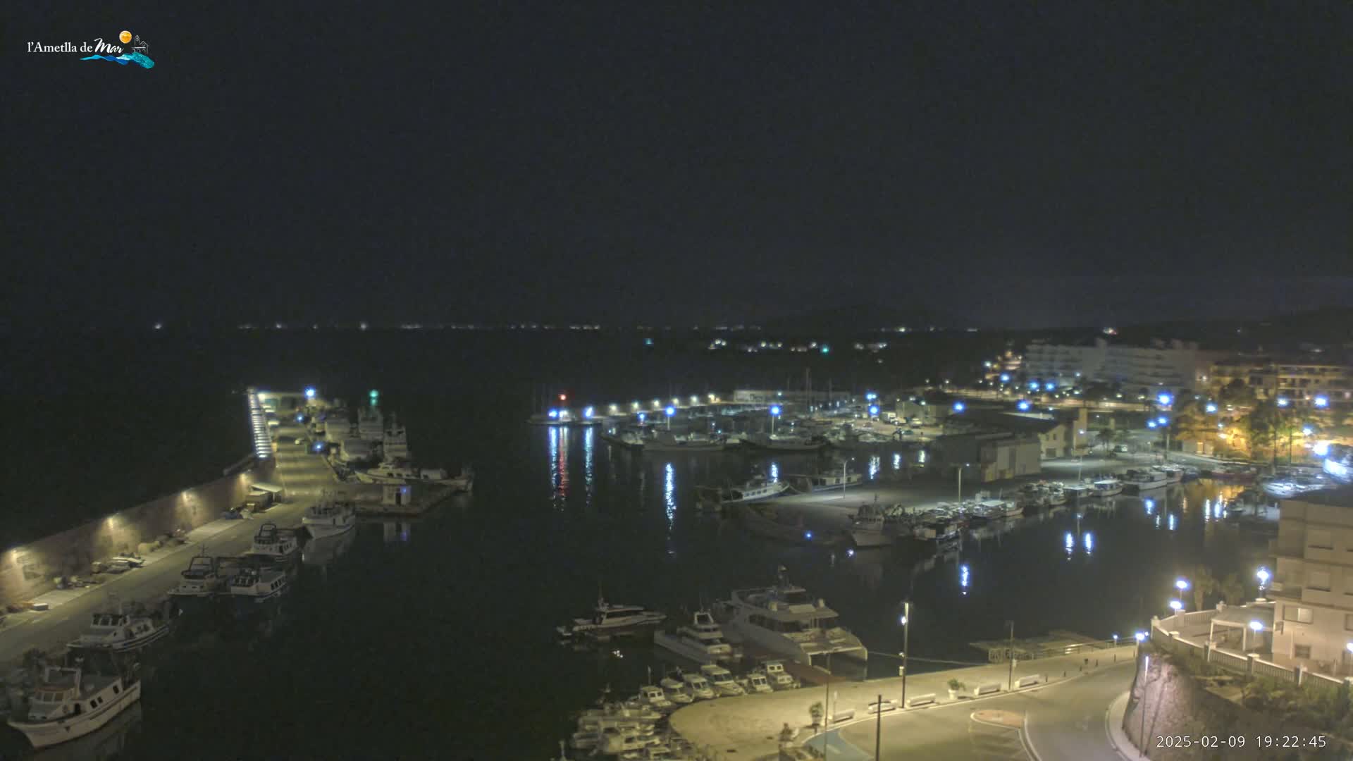 A nighttime view of a harbor filled with boats, illuminated by streetlights, under a clear, dark sky.