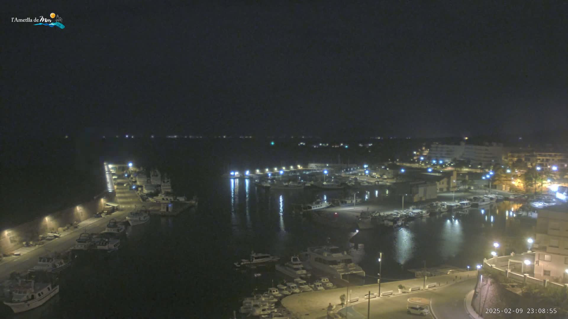 A nighttime aerial view of a harbor filled with boats, illuminated by streetlights and building lights, under a clear, dark sky.