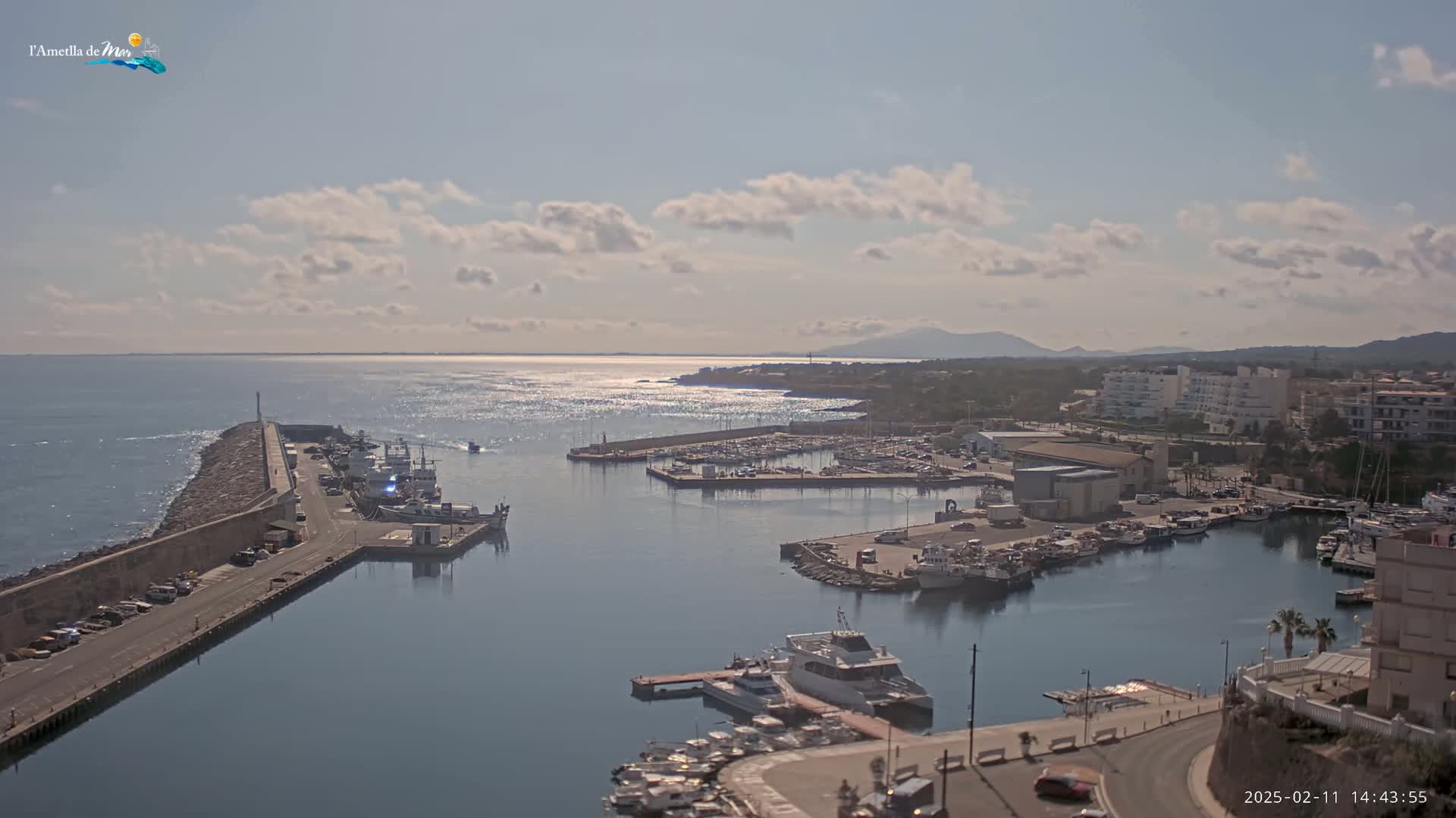 A partly cloudy day overlooks a harbor filled with numerous boats and ships, a town, and a calm sea extending to distant mountains.