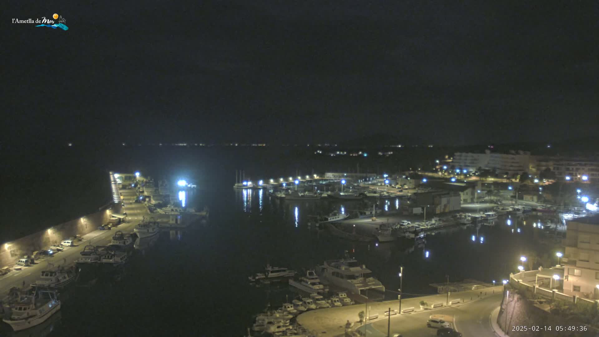 A nighttime, high-angle view of a harbor filled with boats, with a town and buildings visible in the background under a dark sky.
