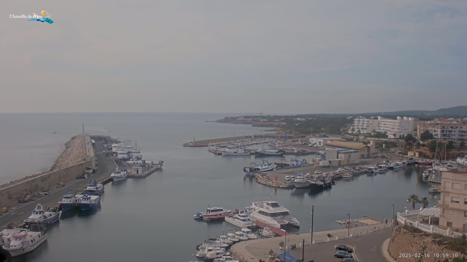 A harbor filled with numerous boats and ships on a calm, overcast day.