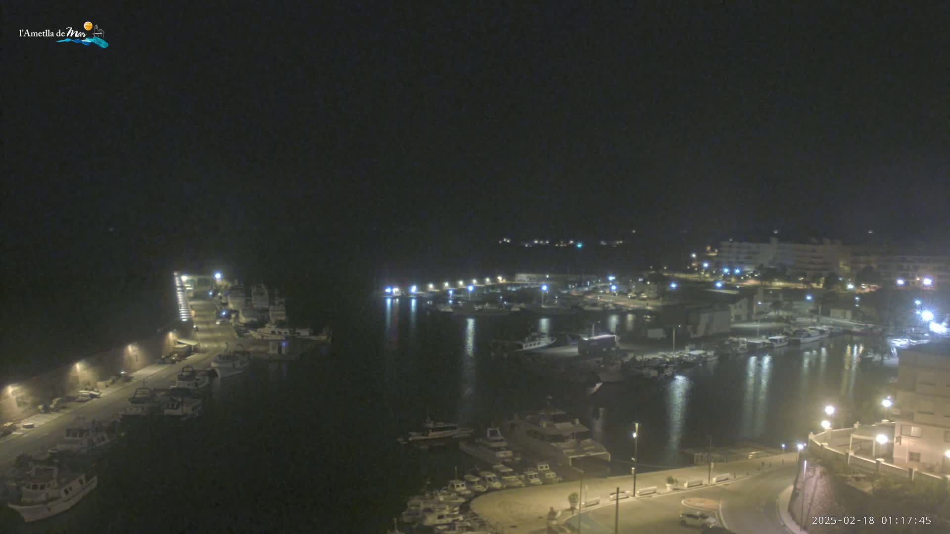A nighttime aerial view of a harbor filled with boats, illuminated by streetlights under a clear, dark sky.