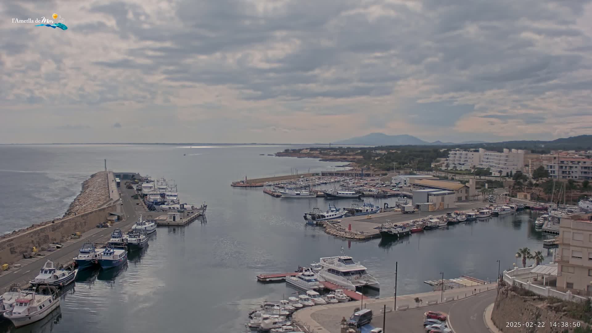 A harbor filled with numerous boats is seen under a cloudy sky, with a coastline and distant mountains in the background.