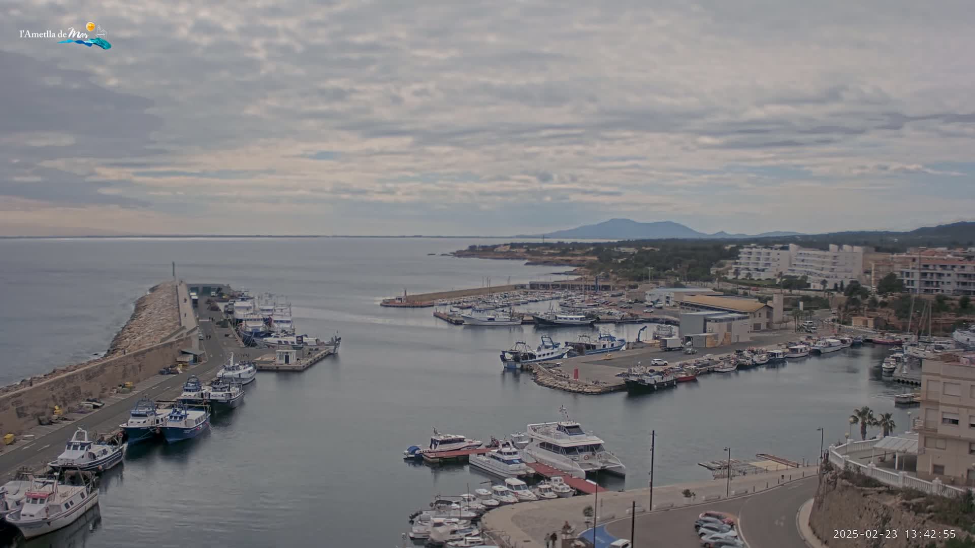 A harbor filled with numerous boats and ships is situated on a calm sea under an overcast sky, with hills visible in the distance.