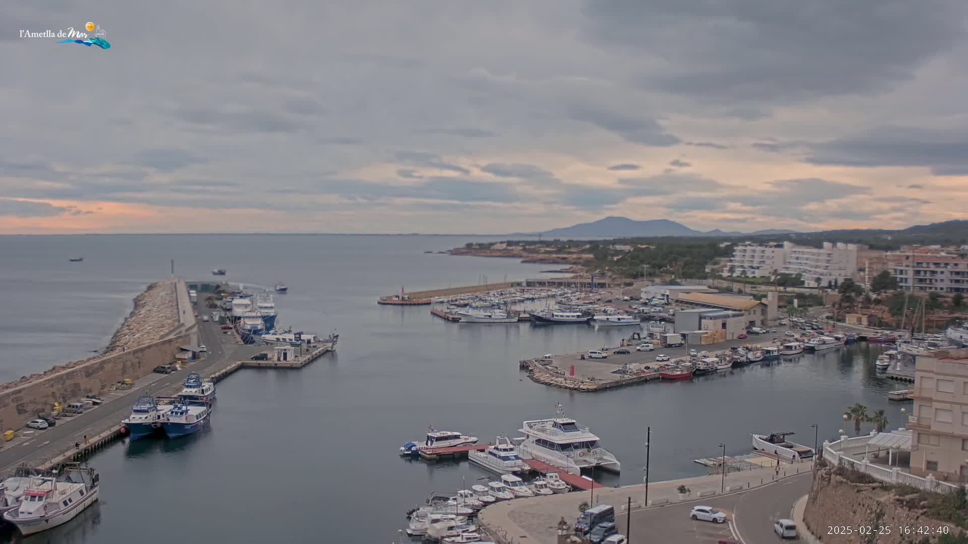A harbor filled with numerous boats and yachts under a cloudy sky, with a coastal town and distant mountains visible in the background.