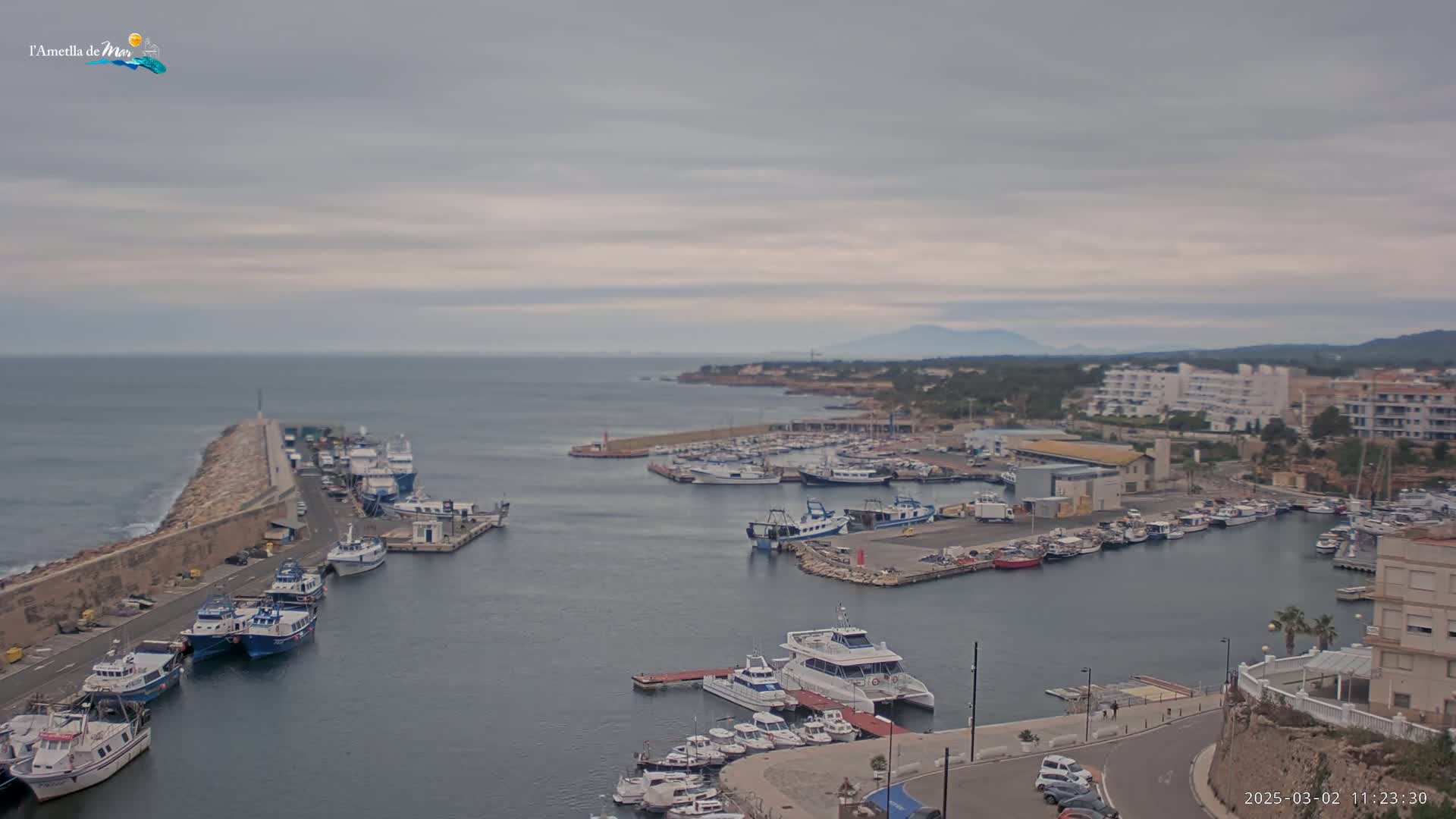 A harbor filled with numerous boats and ships is seen under an overcast sky.