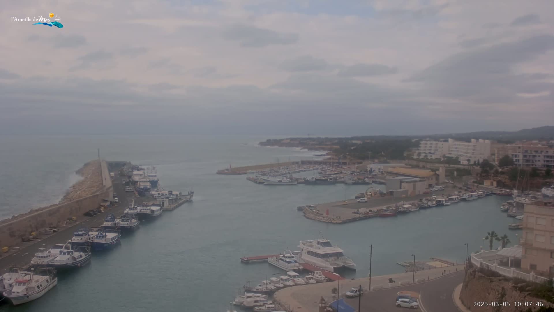A harbor filled with numerous boats is seen under an overcast sky.
