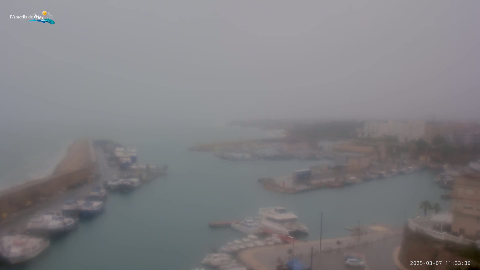 A foggy view of a harbor filled with numerous boats and buildings on a hazy day.