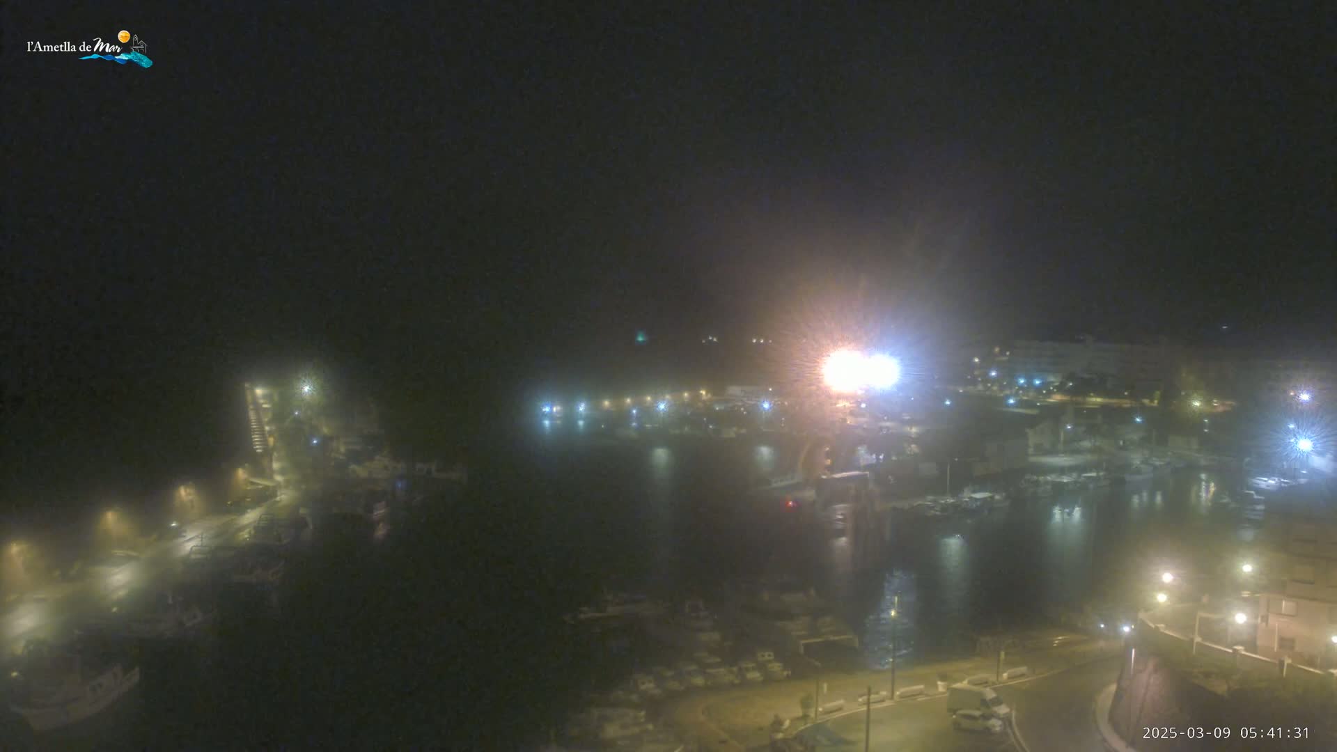 A nighttime, hazy view of a harbor filled with boats, illuminated by streetlights and other lights on shore.