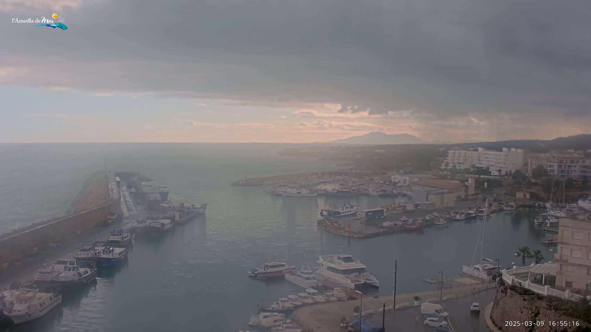 A harbor filled with numerous boats and buildings under an overcast sky.