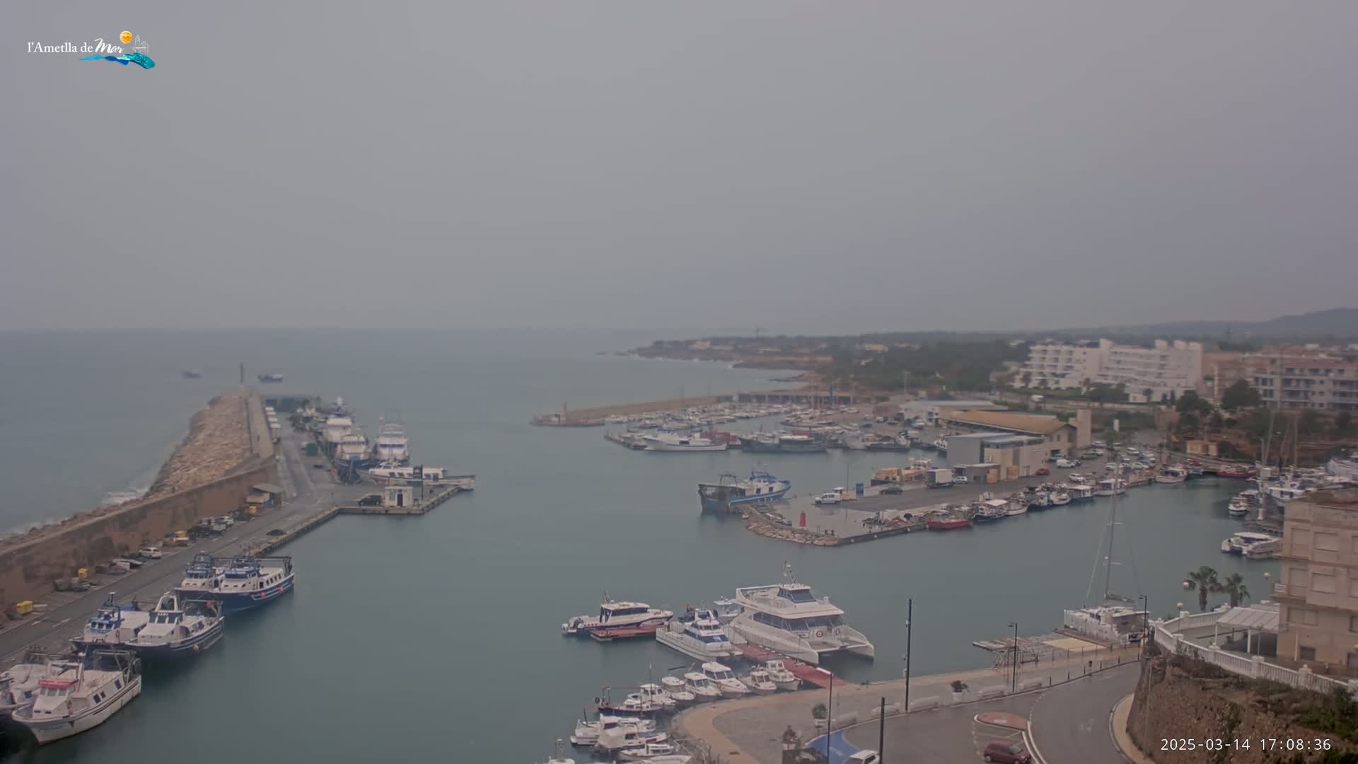 A harbor filled with numerous boats is seen on an overcast day.