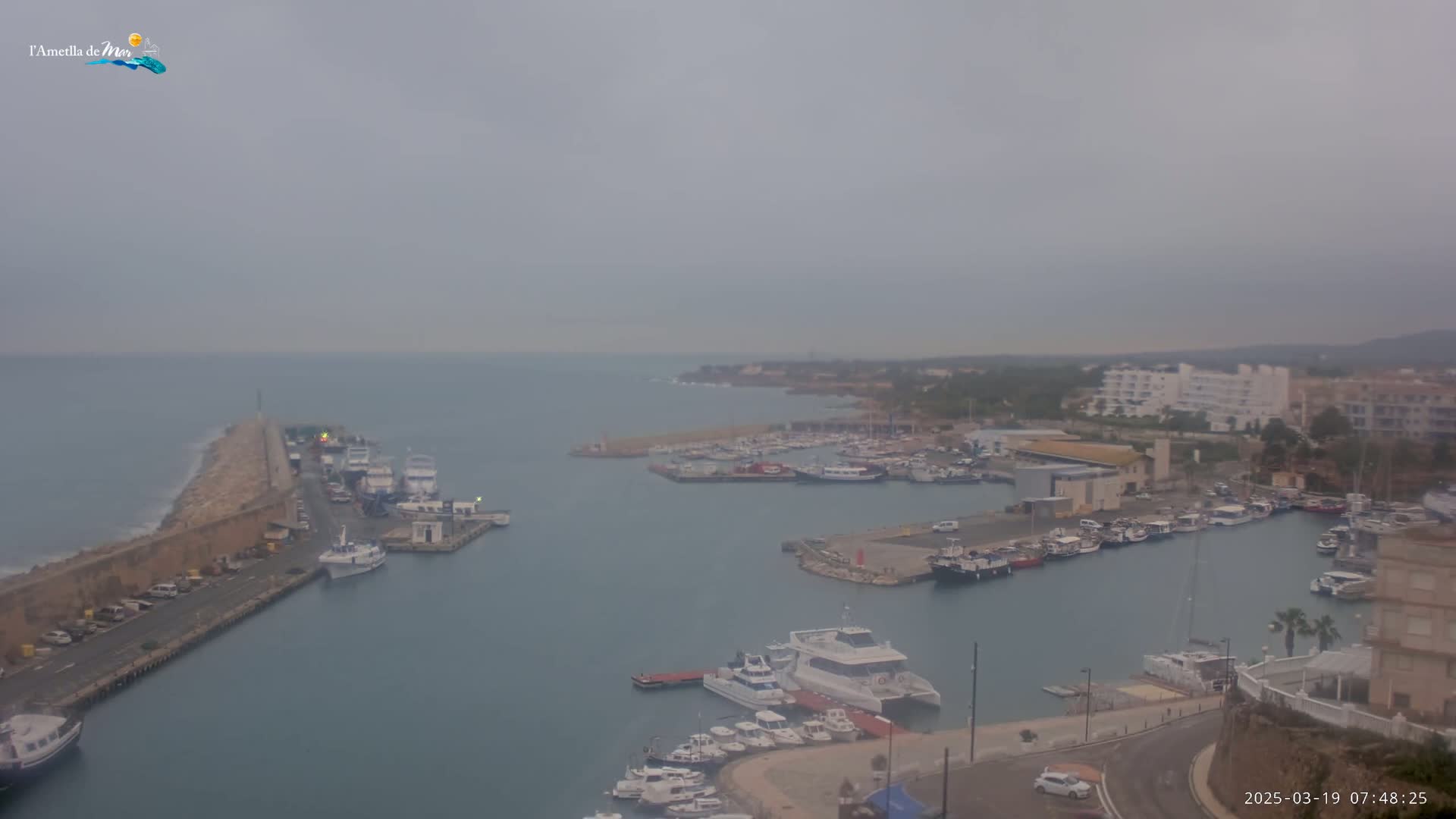 A harbor filled with numerous boats is seen on an overcast day.