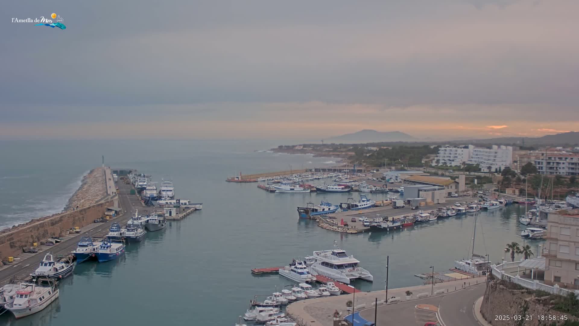 A harbor filled with numerous boats and ships is seen under an overcast sky, with a calm sea and a distant coastline visible.
