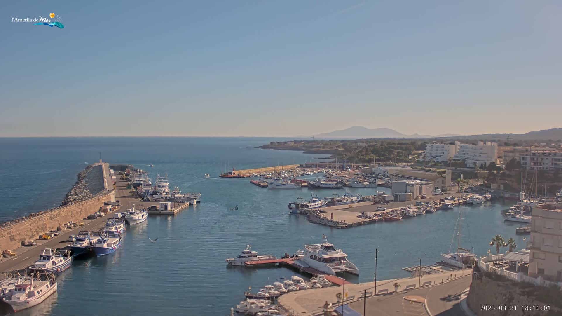 A harbor filled with numerous boats and ships is seen on a sunny day, with calm water and distant mountains visible in the background.