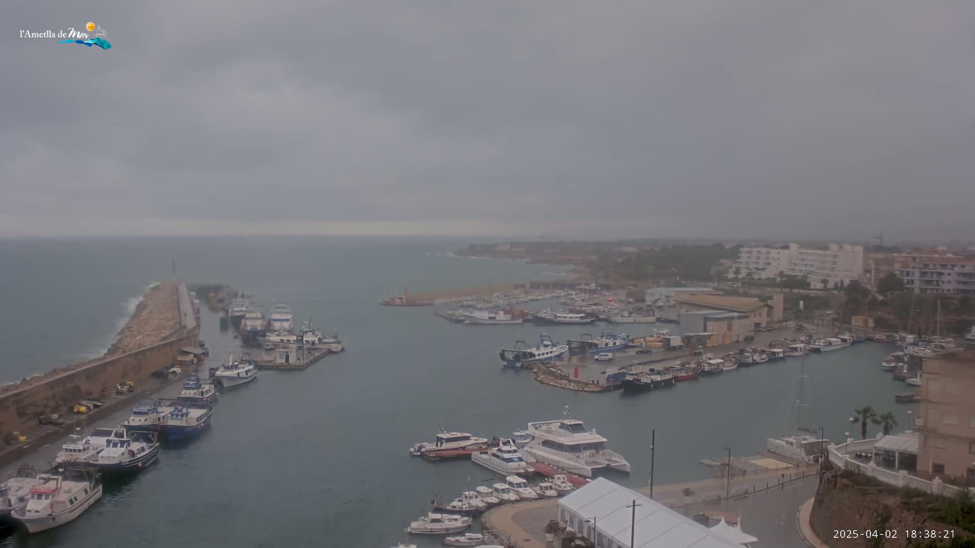 A harbor filled with numerous boats is seen under an overcast sky.