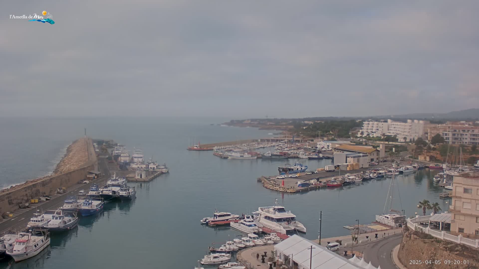 A harbor filled with numerous boats and ships is seen on an overcast day, with a stone wall extending into the calm sea.