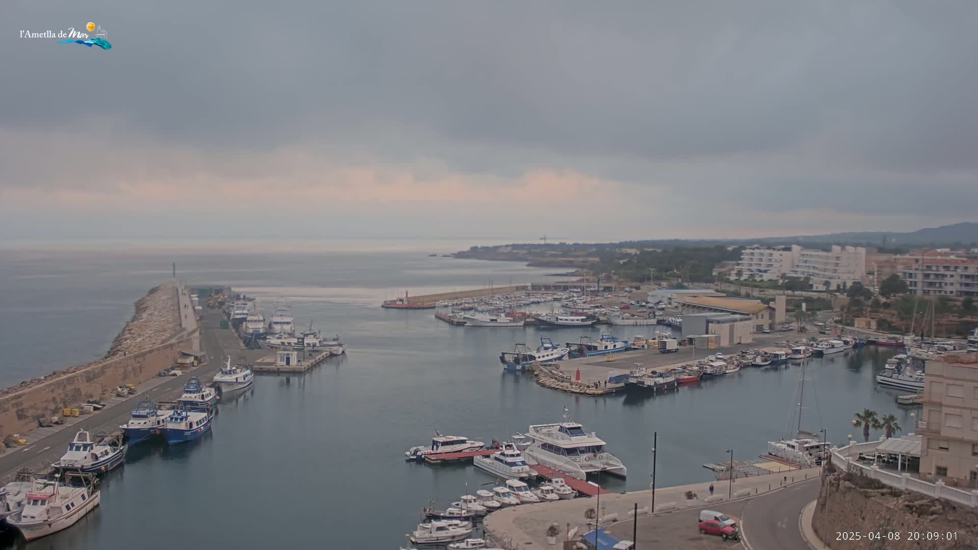 A harbor filled with many boats is shown under an overcast sky.