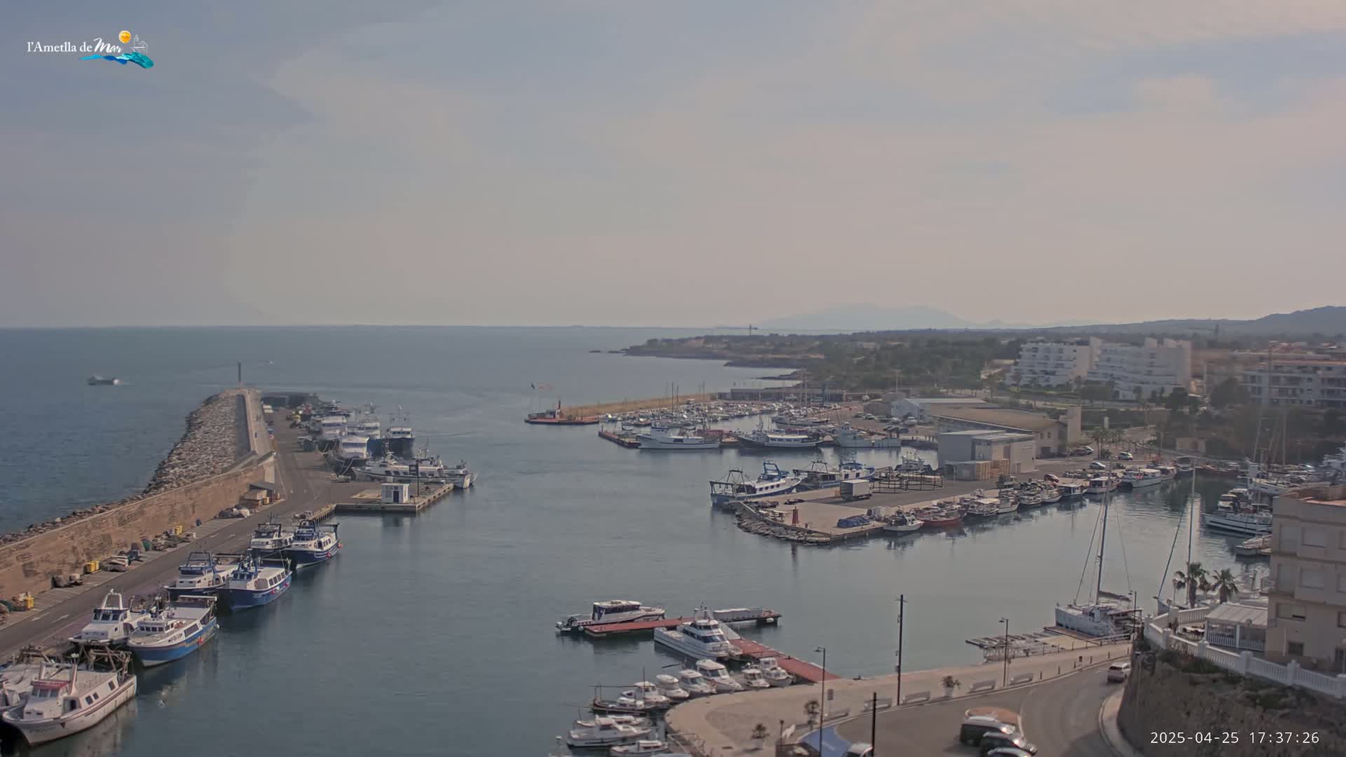 A harbor filled with numerous boats and ships is situated near a coastline under a hazy sky.