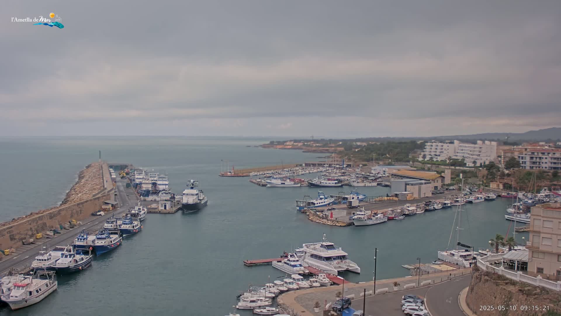 A harbor filled with many boats of various sizes is seen on an overcast day.
