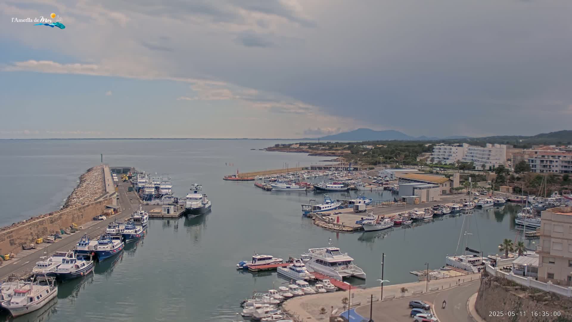 A harbor filled with numerous boats is seen under a partly cloudy sky.