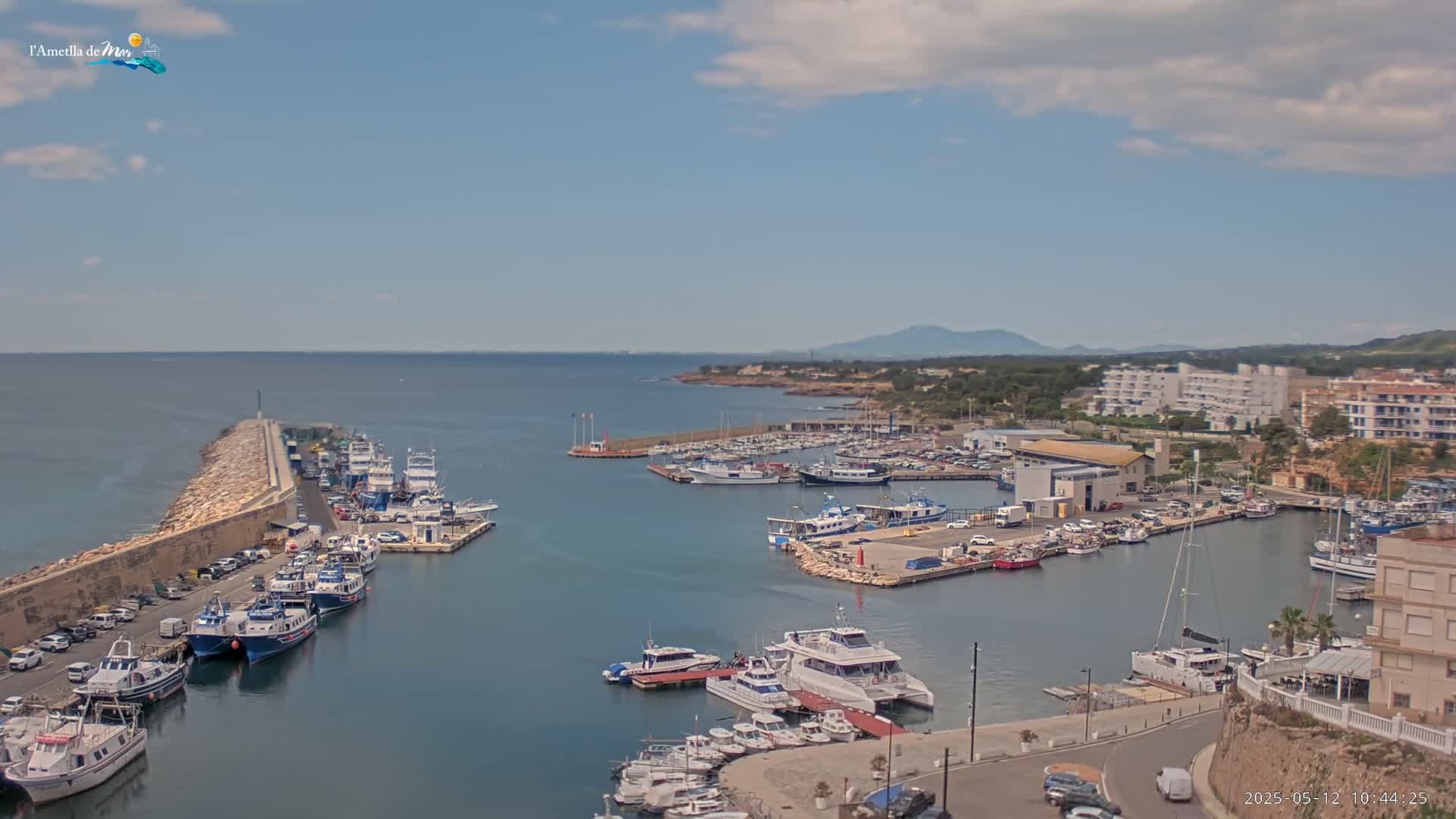 A harbor filled with numerous boats is situated beside a coastline under a partly sunny sky.