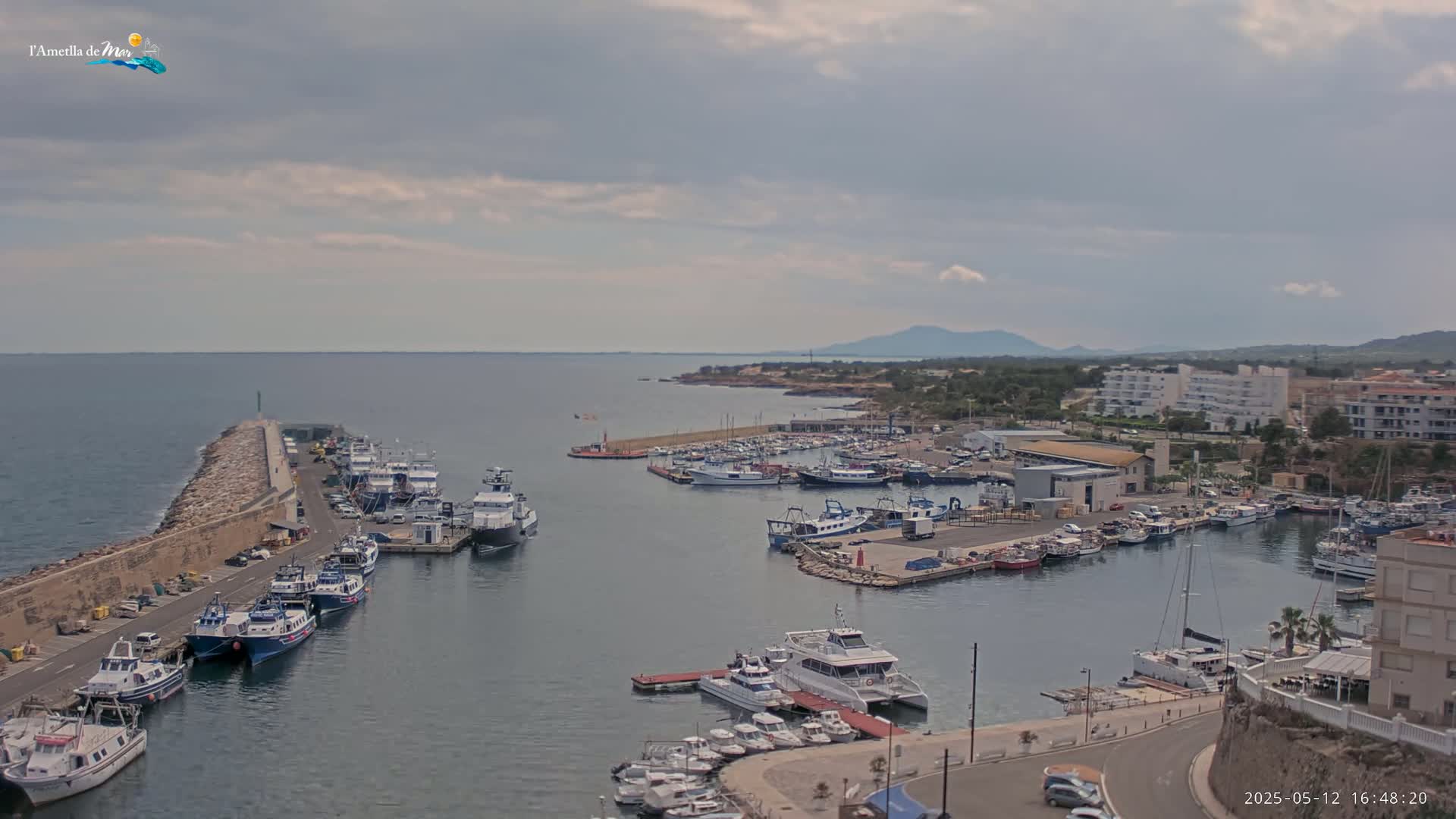 A harbor filled with many boats of various sizes is shown under an overcast sky, with a calm sea extending to a distant shoreline and mountains.