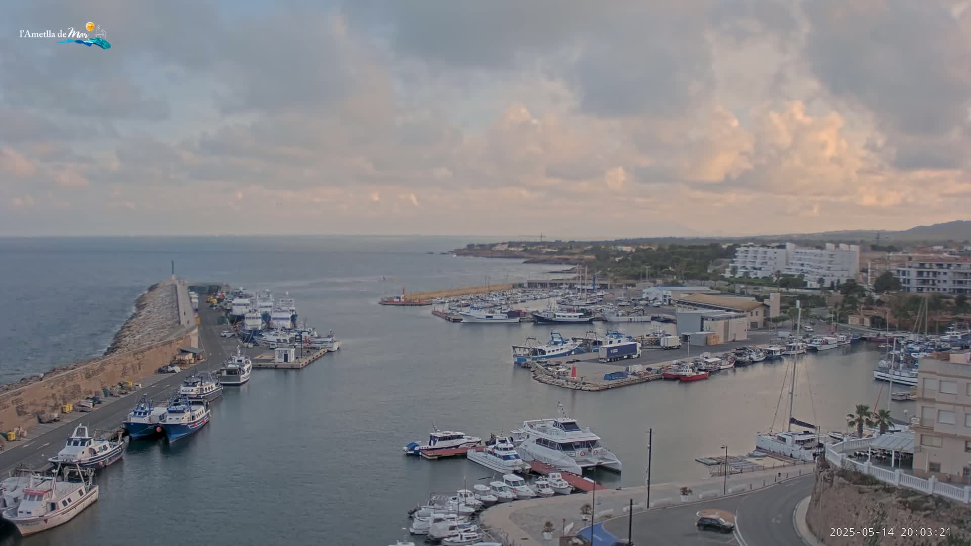 A harbor filled with numerous boats is seen under a cloudy sky at dusk.