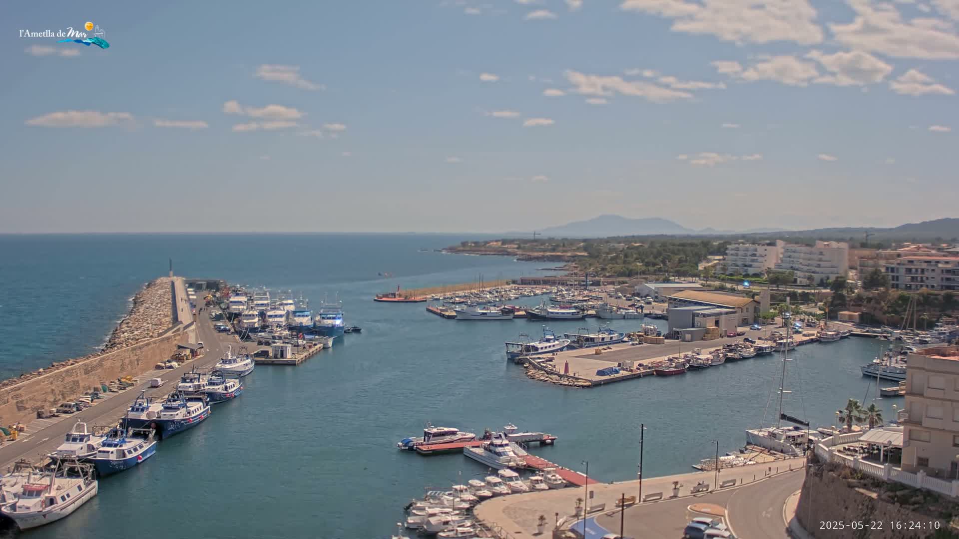 A harbor filled with numerous boats is situated along a calm, blue ocean under a partly cloudy sky.