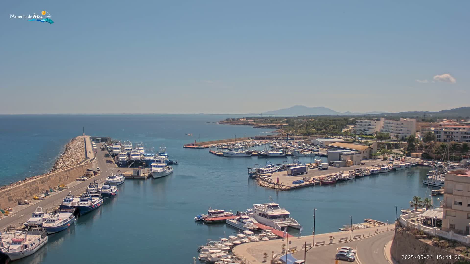 A harbor filled with numerous boats and ships is situated along a calm, clear blue ocean under a sunny sky, with a coastal town and distant mountains visible in the background.