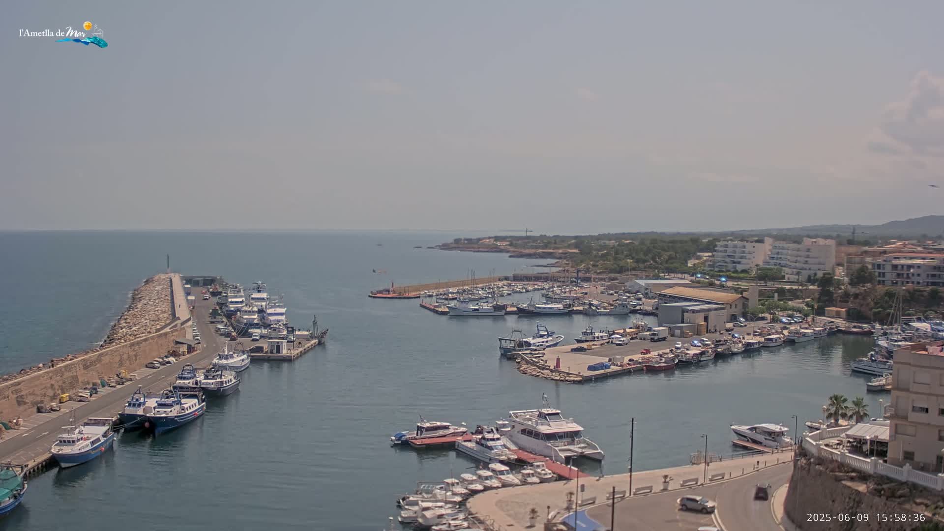 A harbor filled with numerous boats and ships is seen on a sunny day, with a calm sea extending to the horizon.
