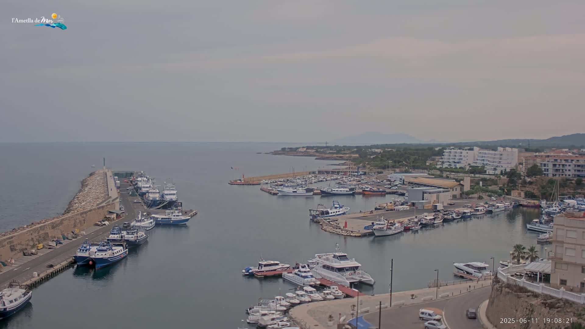 A harbor filled with numerous boats and ships under an overcast sky.