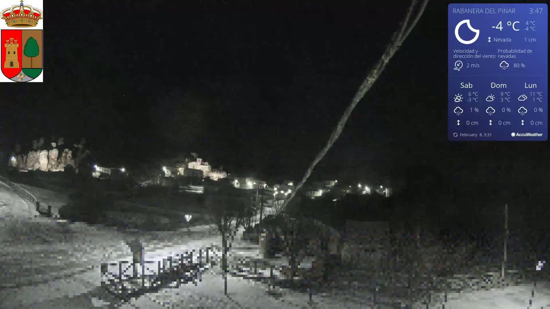 A snow-covered village is visible at night under a dark sky with falling snow.