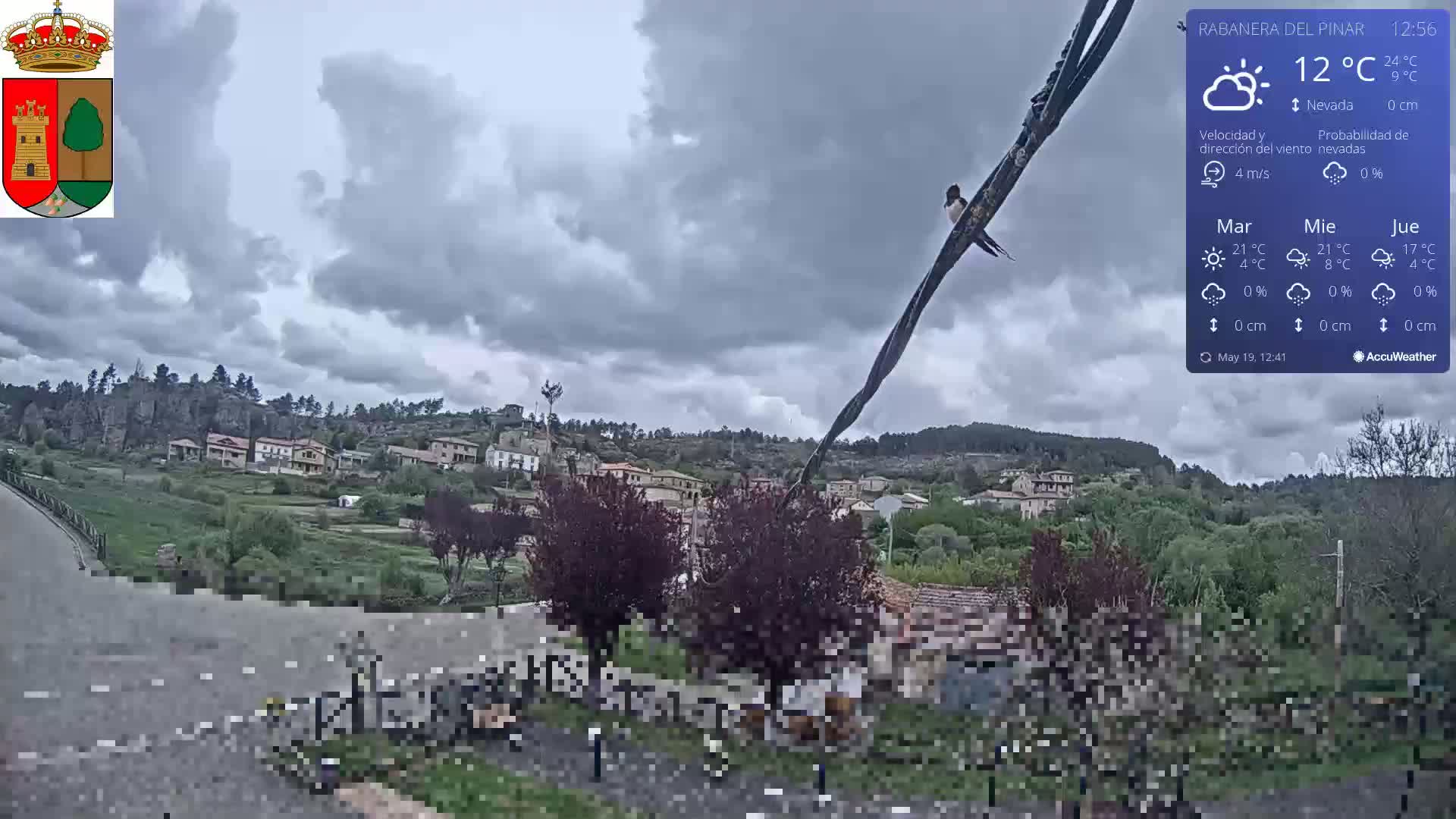 A bird perches on a wire against a cloudy sky overlooking a small village nestled in a verdant hillside.