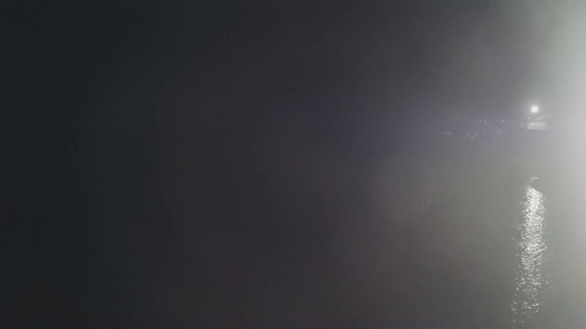 A body of water is visible at night in foggy conditions, with a light source illuminating a section of the shoreline.