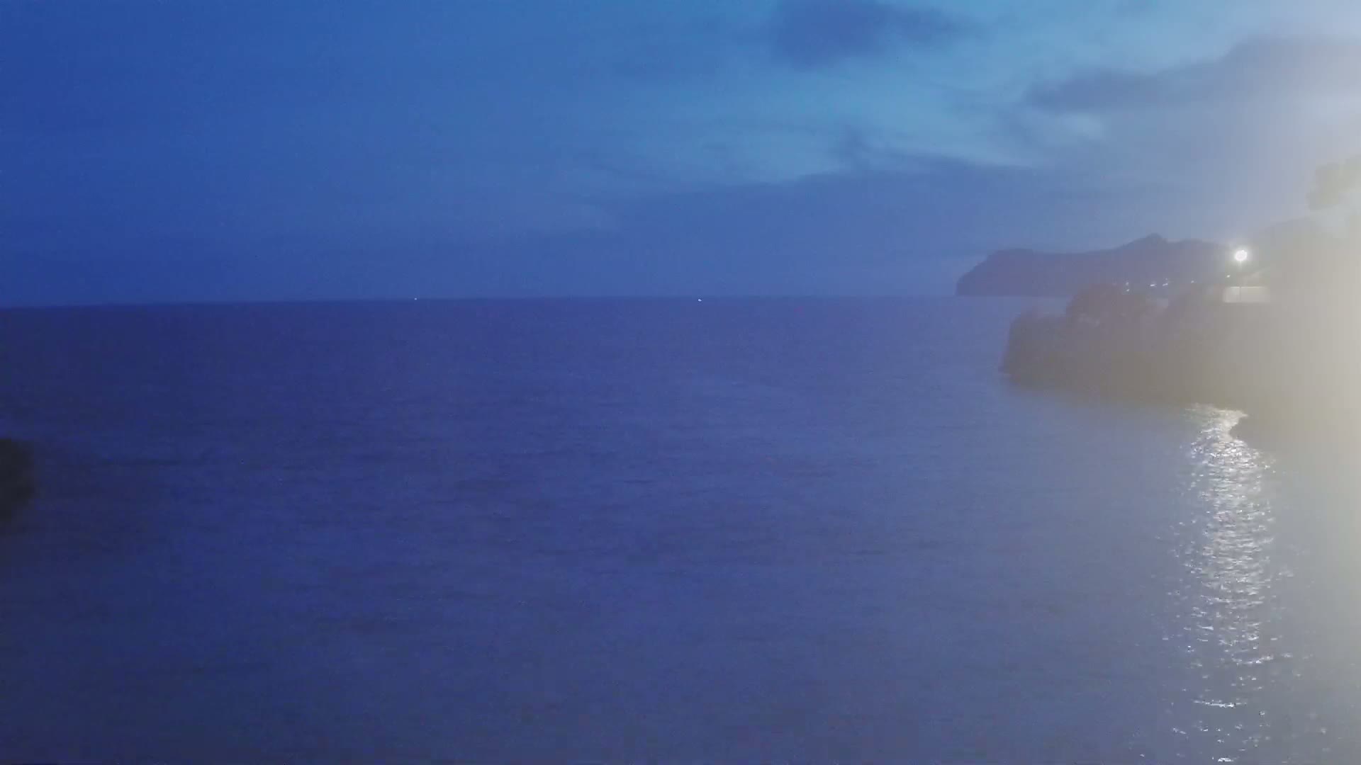 A dark blue ocean is seen at twilight, with a silhouetted landmass and some vegetation in the right corner.