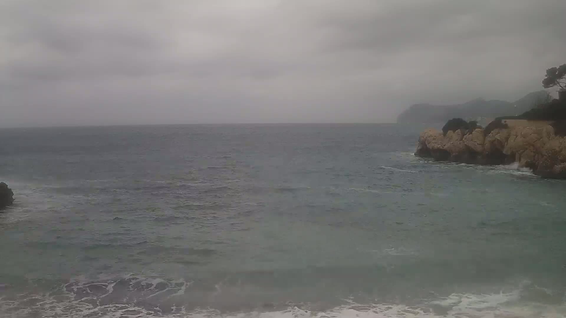 A choppy sea under a gray, overcast sky meets rocky shores with sparse vegetation.