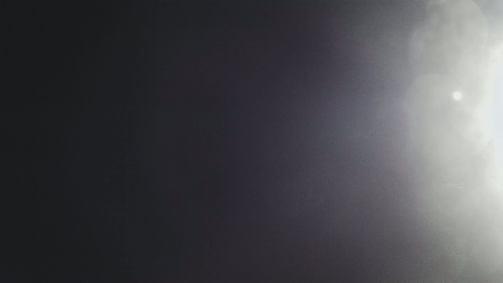 A hazy, bright light shines from the right side of the image onto a dark, mostly obscured background.