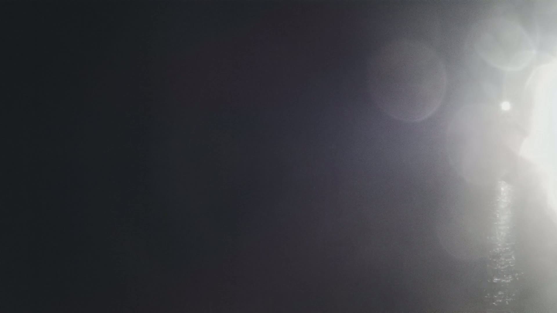 A hazy, bright light shines from the right side of the image, creating lens flares and a bright, mostly out-of-focus, background.