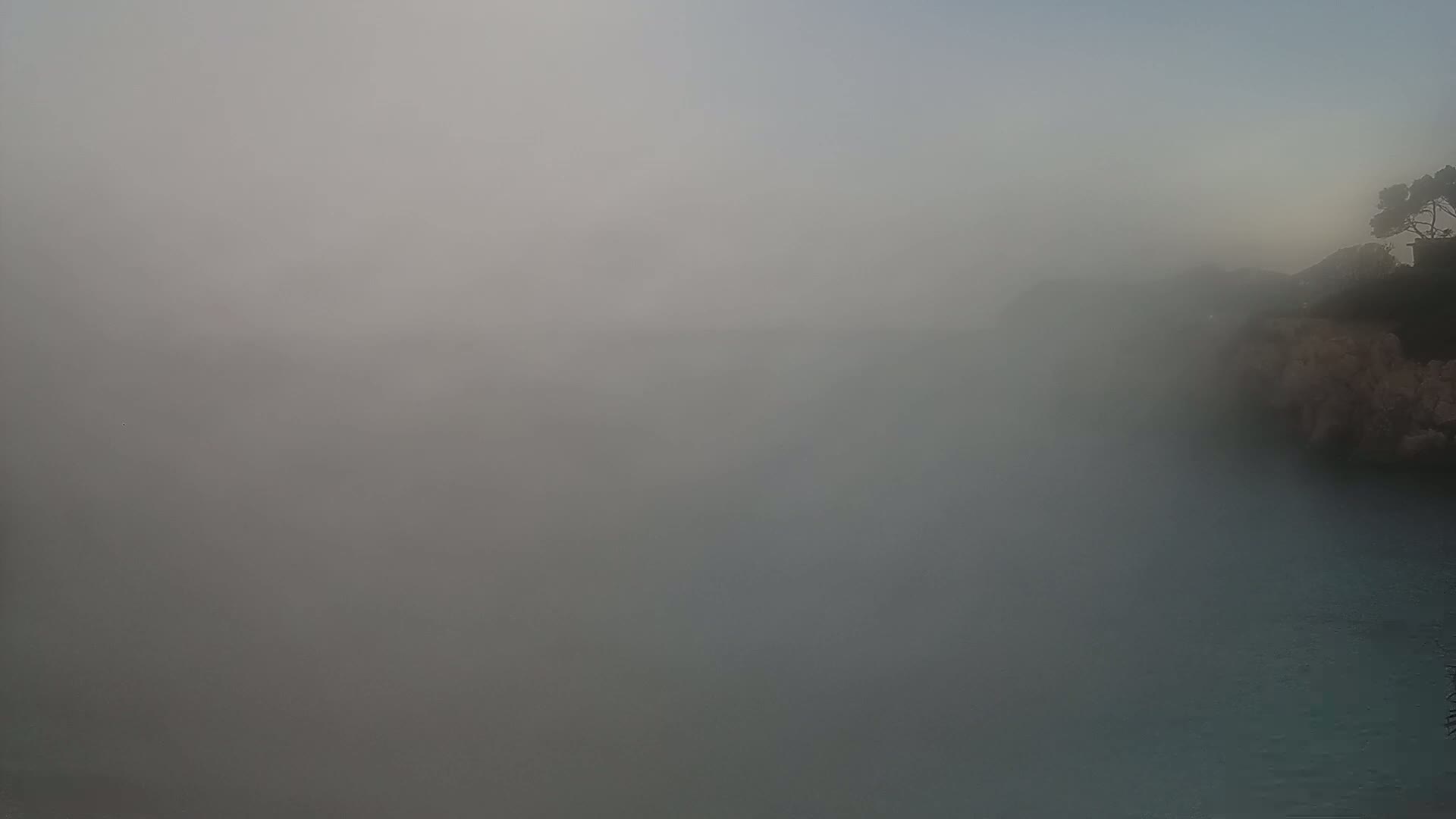 A foggy coastal scene shows a dark body of water partially obscured by fog, with a rocky shoreline and a few trees visible in the upper right corner.