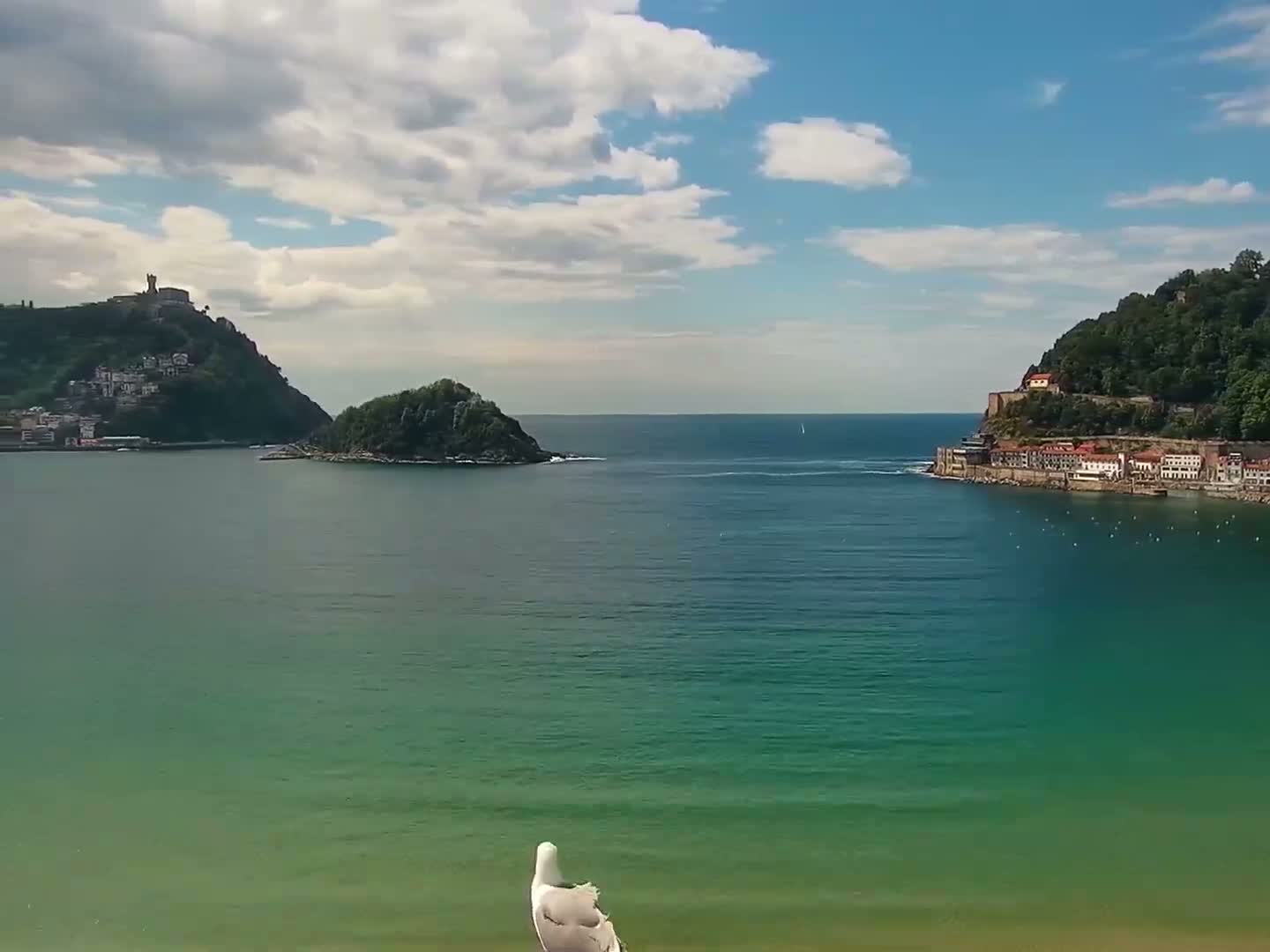 A seagull stands on a sandy beach overlooking a calm, teal ocean bay, with hills and buildings on either side under a partly cloudy sky.