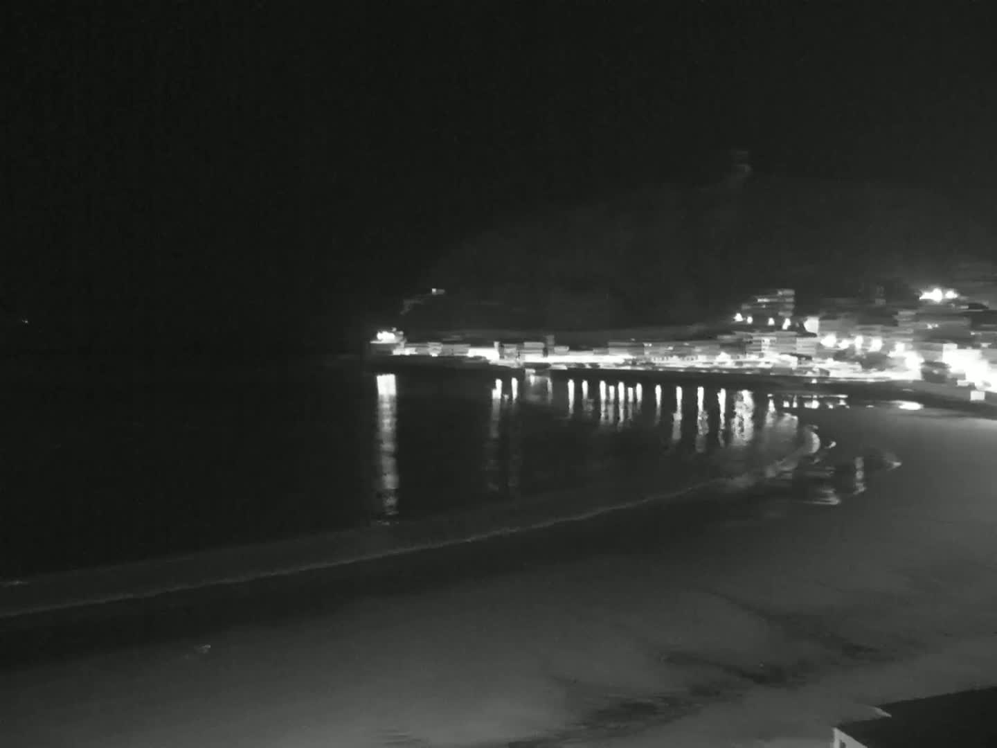 A dark, nighttime beach scene shows a calm, reflective ocean with lights from buildings on a hill in the background.