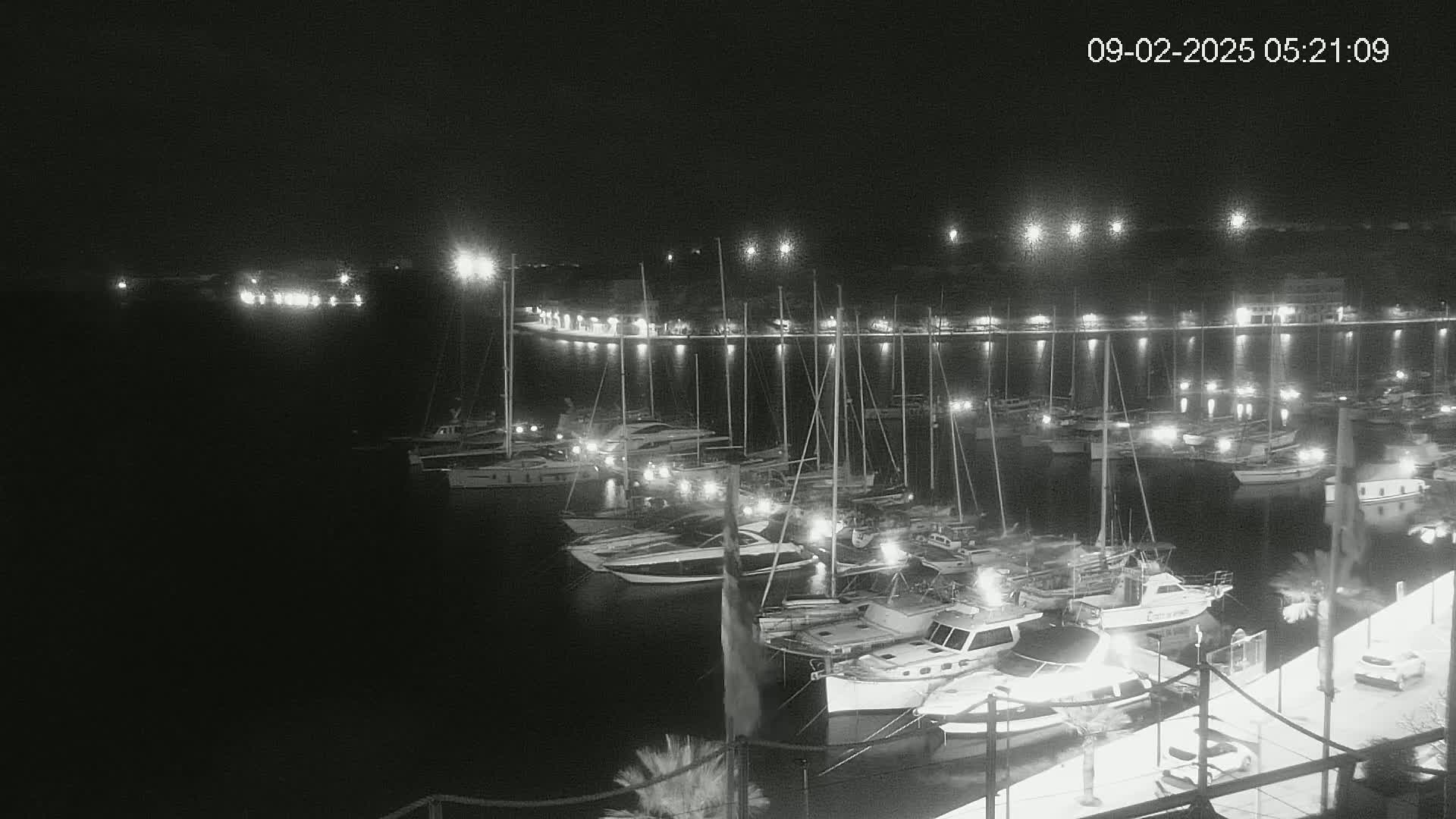 A nighttime view of a marina filled with boats, illuminated by lights along a dock under a clear, dark sky.
