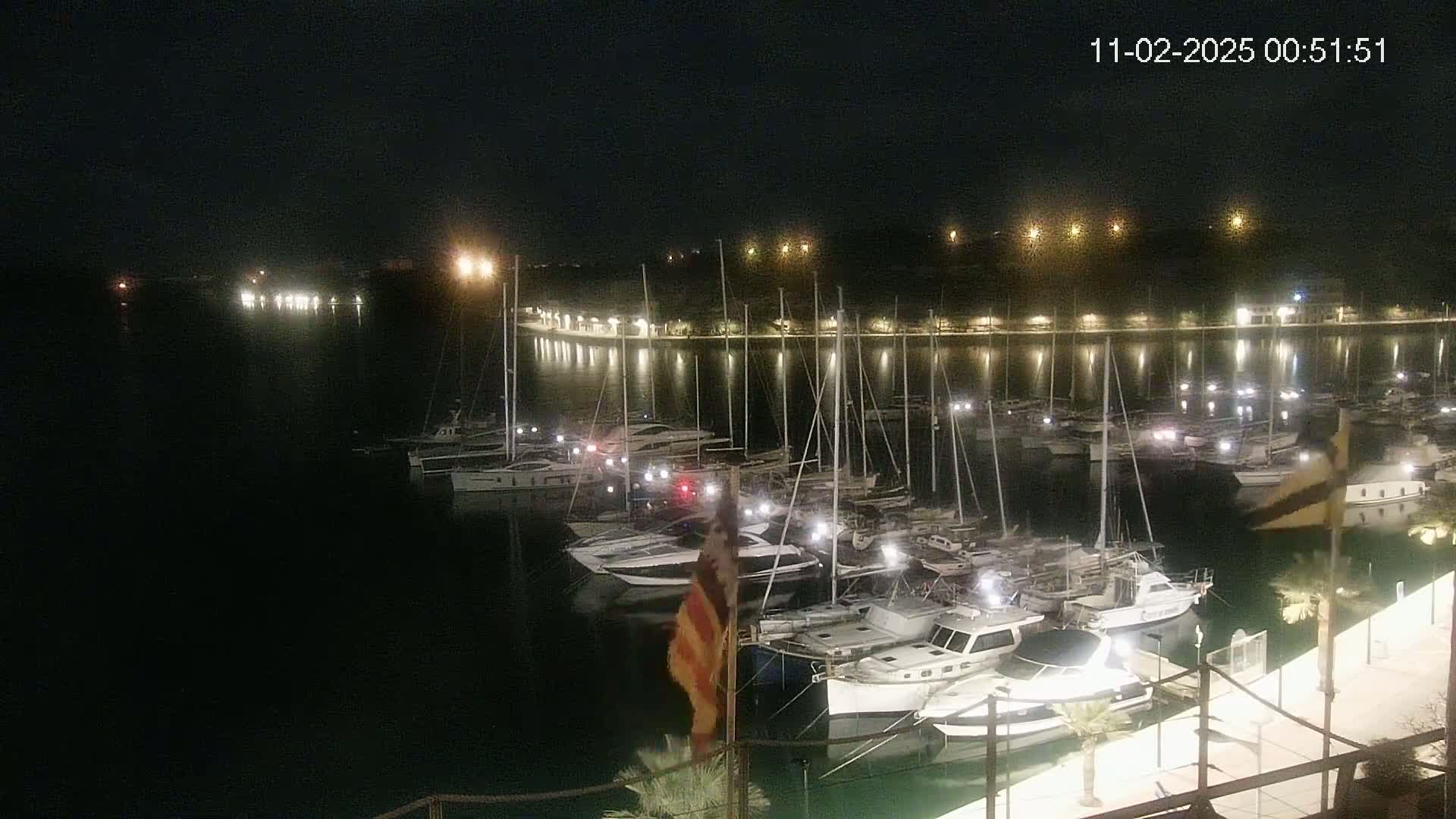 A nighttime view of a marina filled with sailboats and motorboats, illuminated by lights along the shoreline under a clear, dark sky.