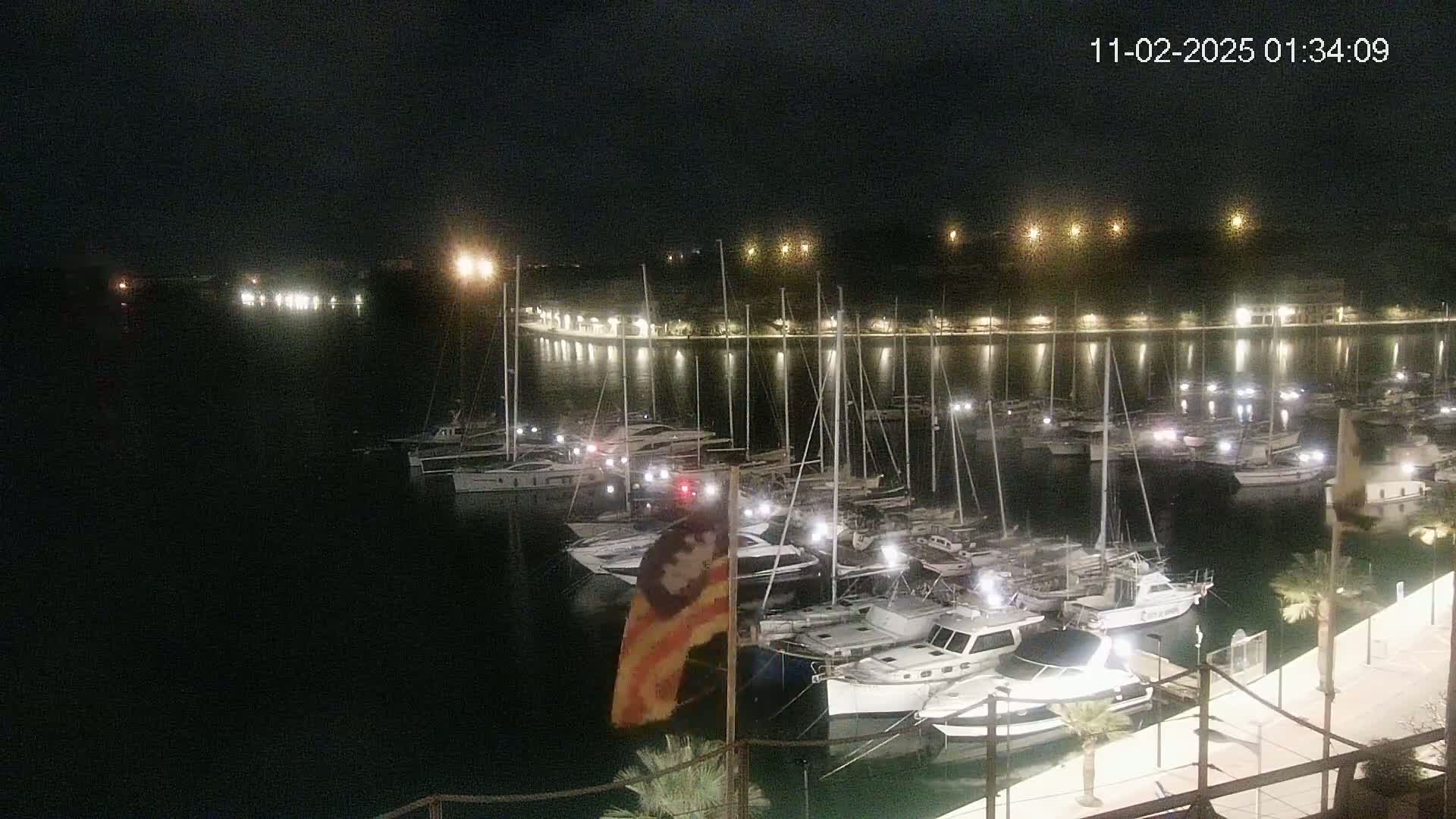 A marina filled with numerous boats is illuminated at night under a clear, dark sky.