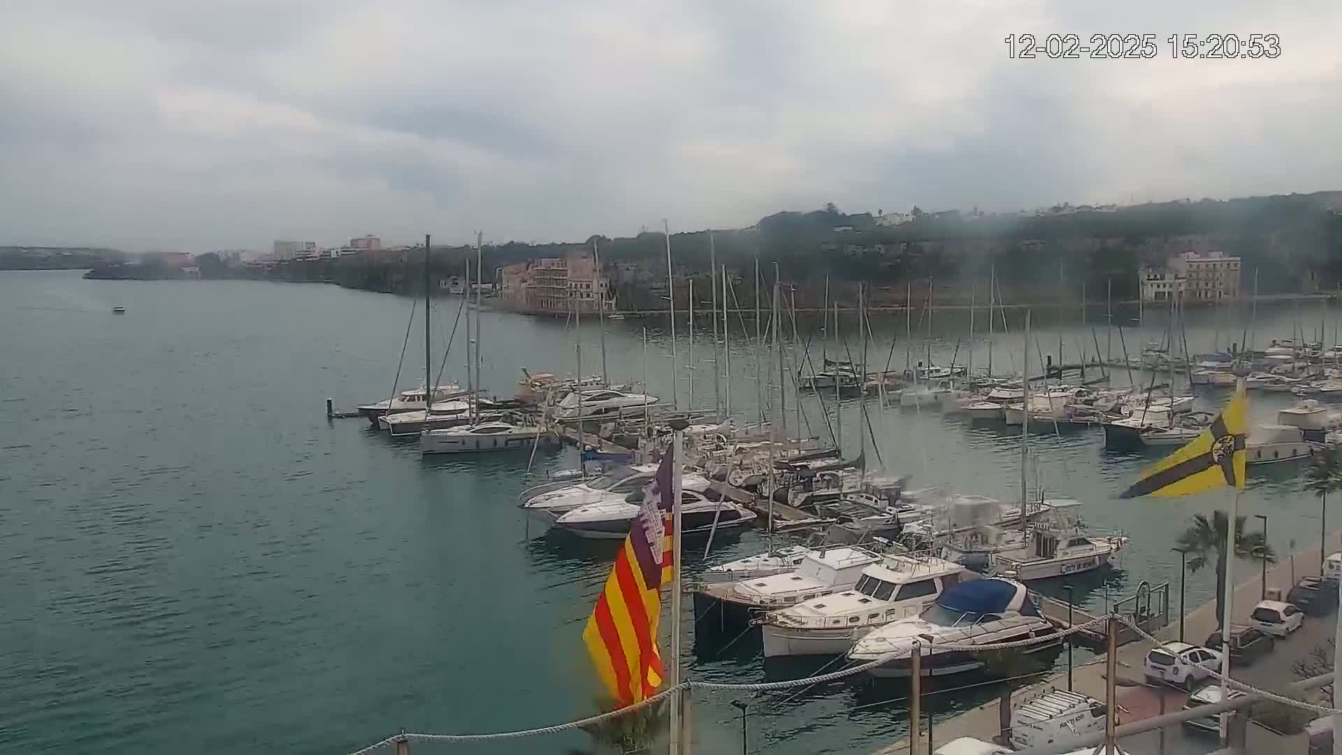 A marina filled with numerous sailboats and motorboats is situated on a body of calm, dark-green water under an overcast sky.